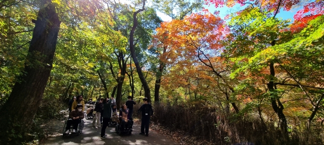 클릭시 확대이미지를 볼수 있습니다.